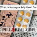 What Is Kamagra Jelly Used For 41